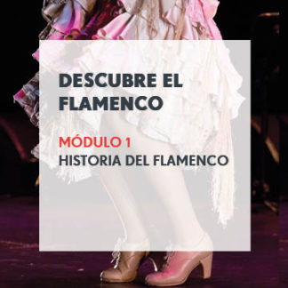 Descubre el Flamenco - Módulo 1